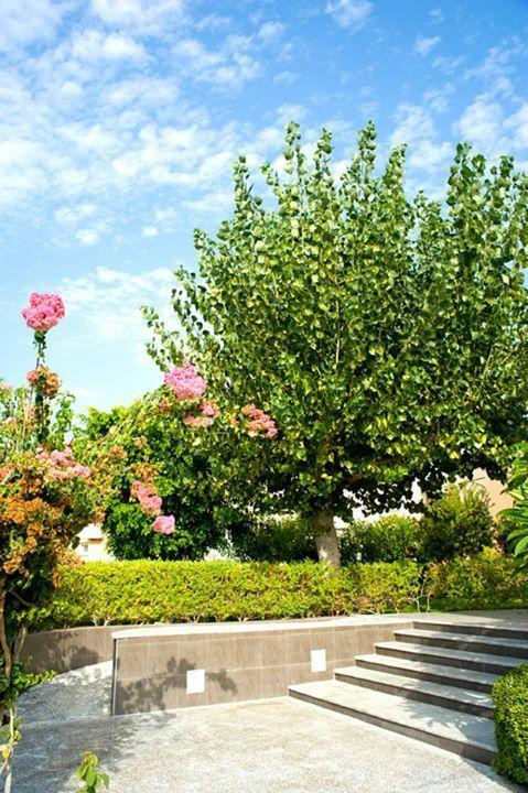 Alfa Hotel Apartments Gerani  ภายนอก รูปภาพ